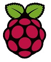 Raspberry Pi logo