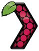 RasPlex logo